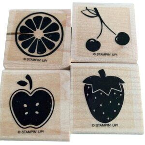 Stampin Up Tart and Tangy Rubber Stamps Set